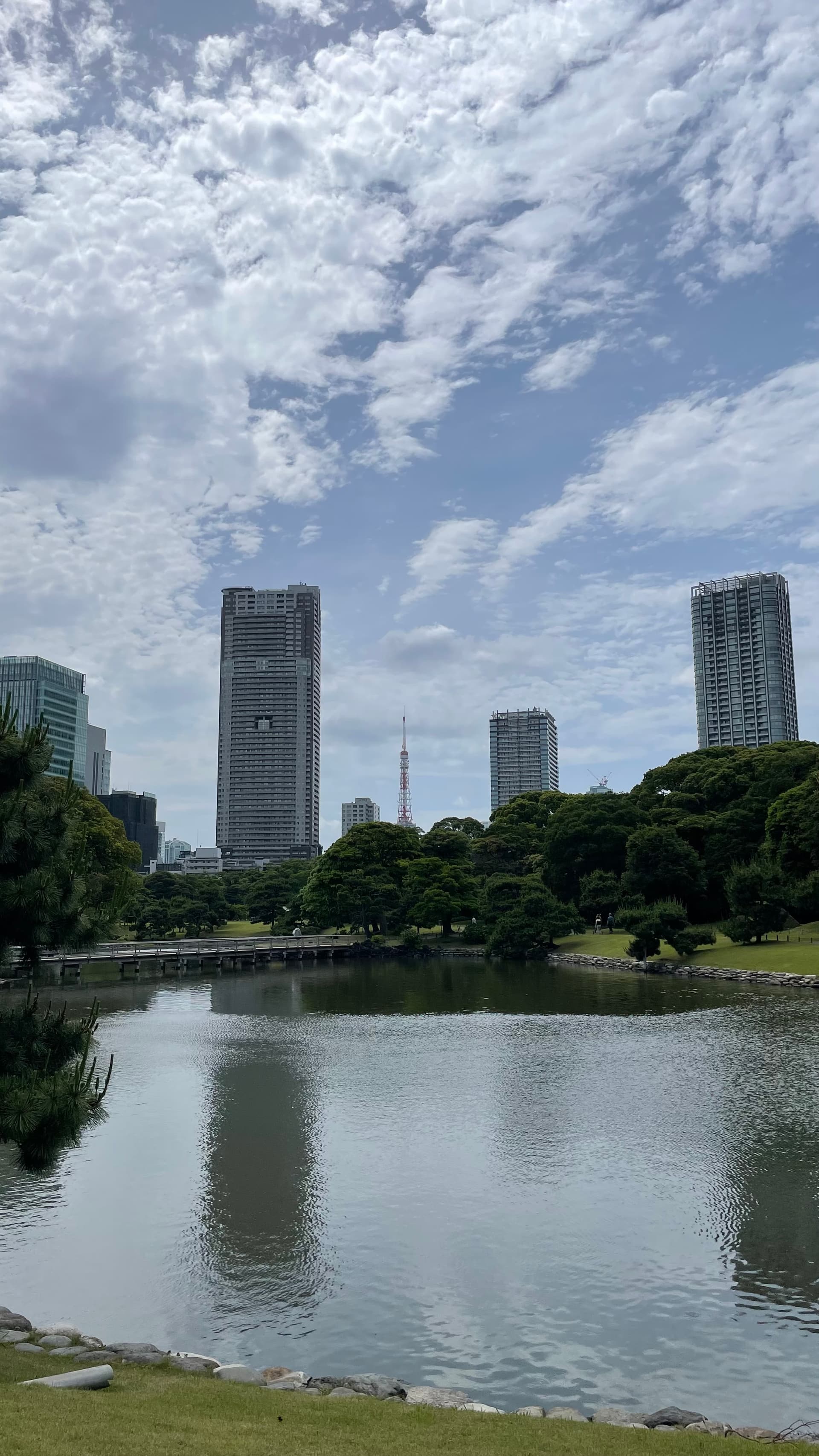 【周辺環境】浜離宮恩賜庭園より撮影。庭園まで自転車にて10分です。公園には駐輪場があります。
また自宅徒歩1分の場所にドコモのバイクシェア、LOOPがあり便利です。