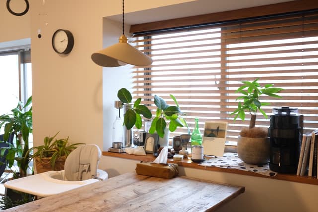 出窓があるので、お気に入りの雑貨や植物を飾ることができます。