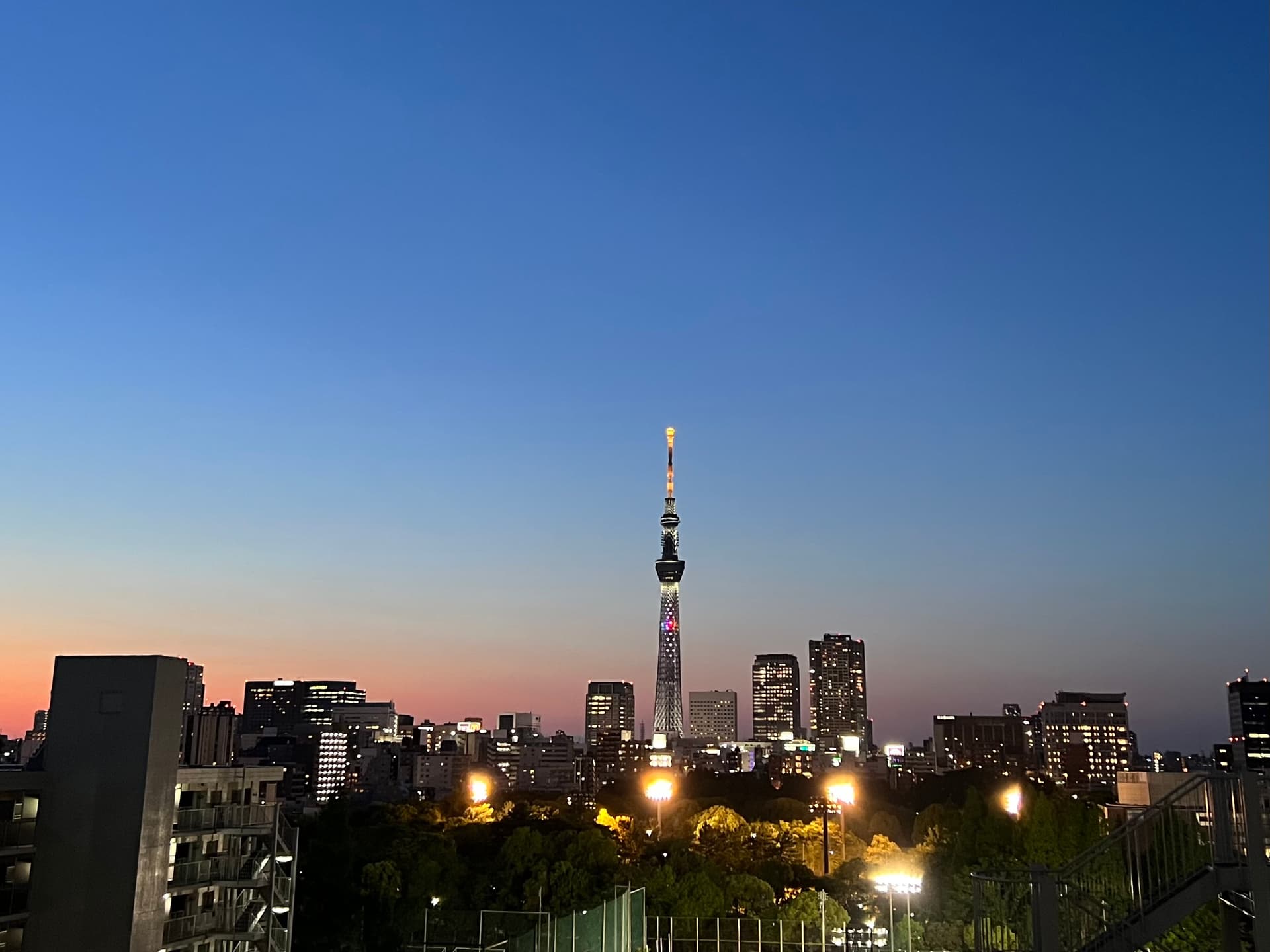 共用廊下からはスカイツリーが見えます。