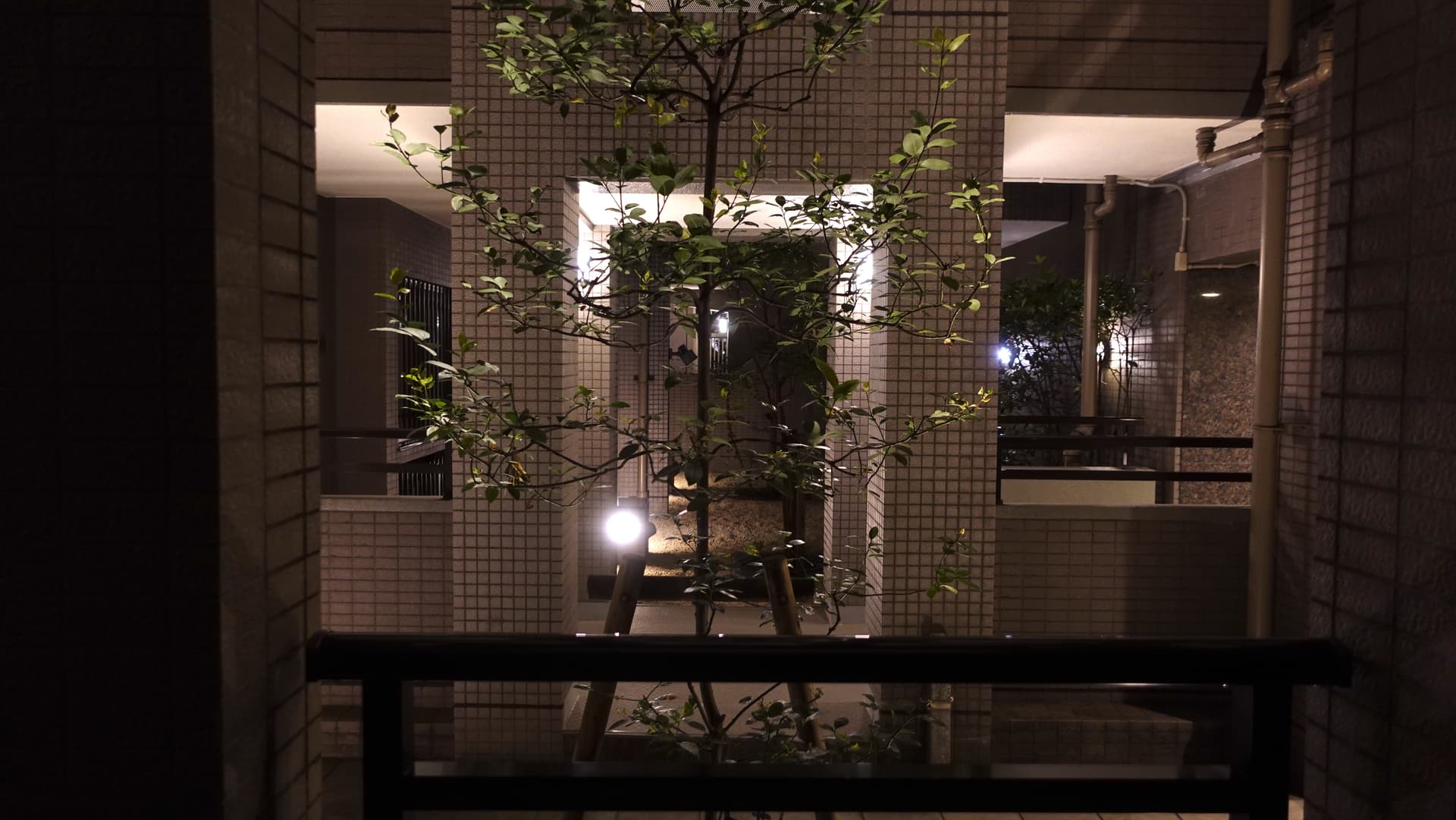 夜間、中庭はライトアップされているので、やや幻想的な雰囲気があります。