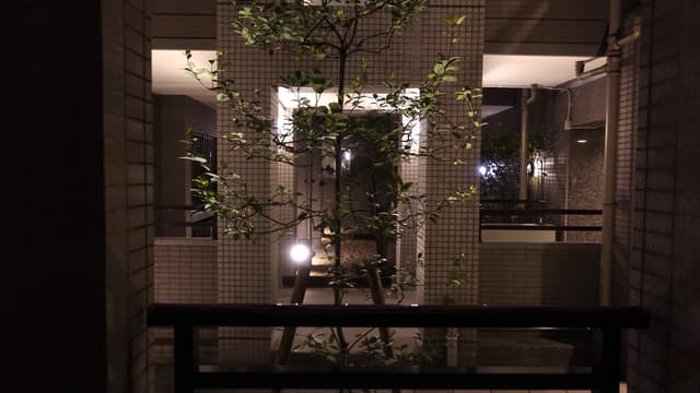 夜間、中庭はライトアップされているので、やや幻想的な雰囲気があります。