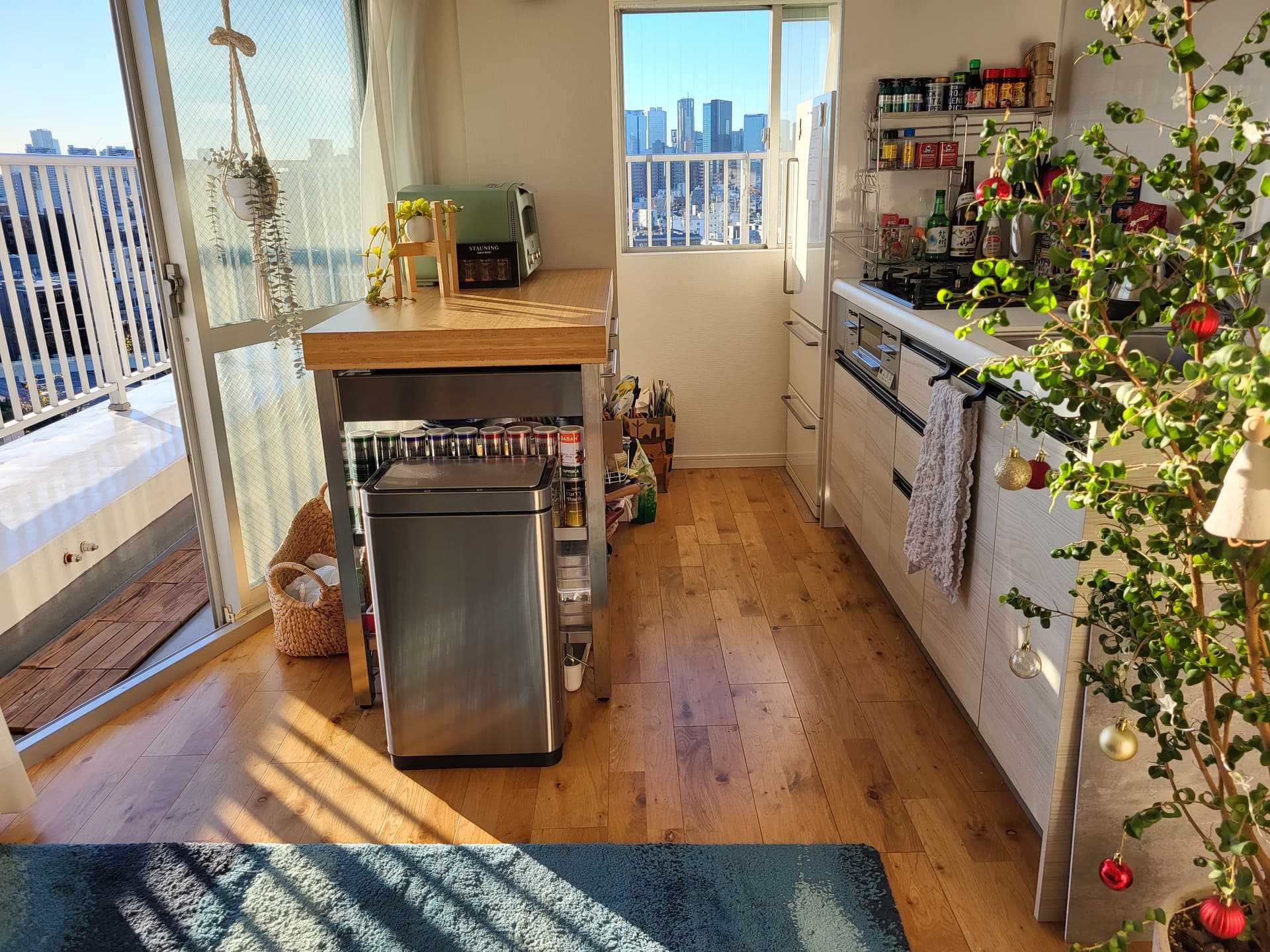 キッチンに窓があり、新宿のビル群が見えます。