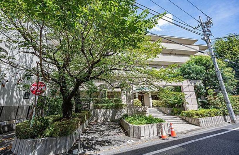 外観。表玄関口。春は桜(写真左の木)が満開です。