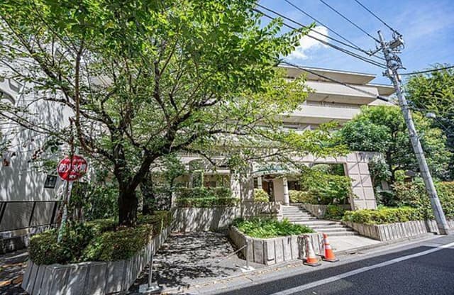 外観。表玄関口。春は桜(写真左の木)が満開です。