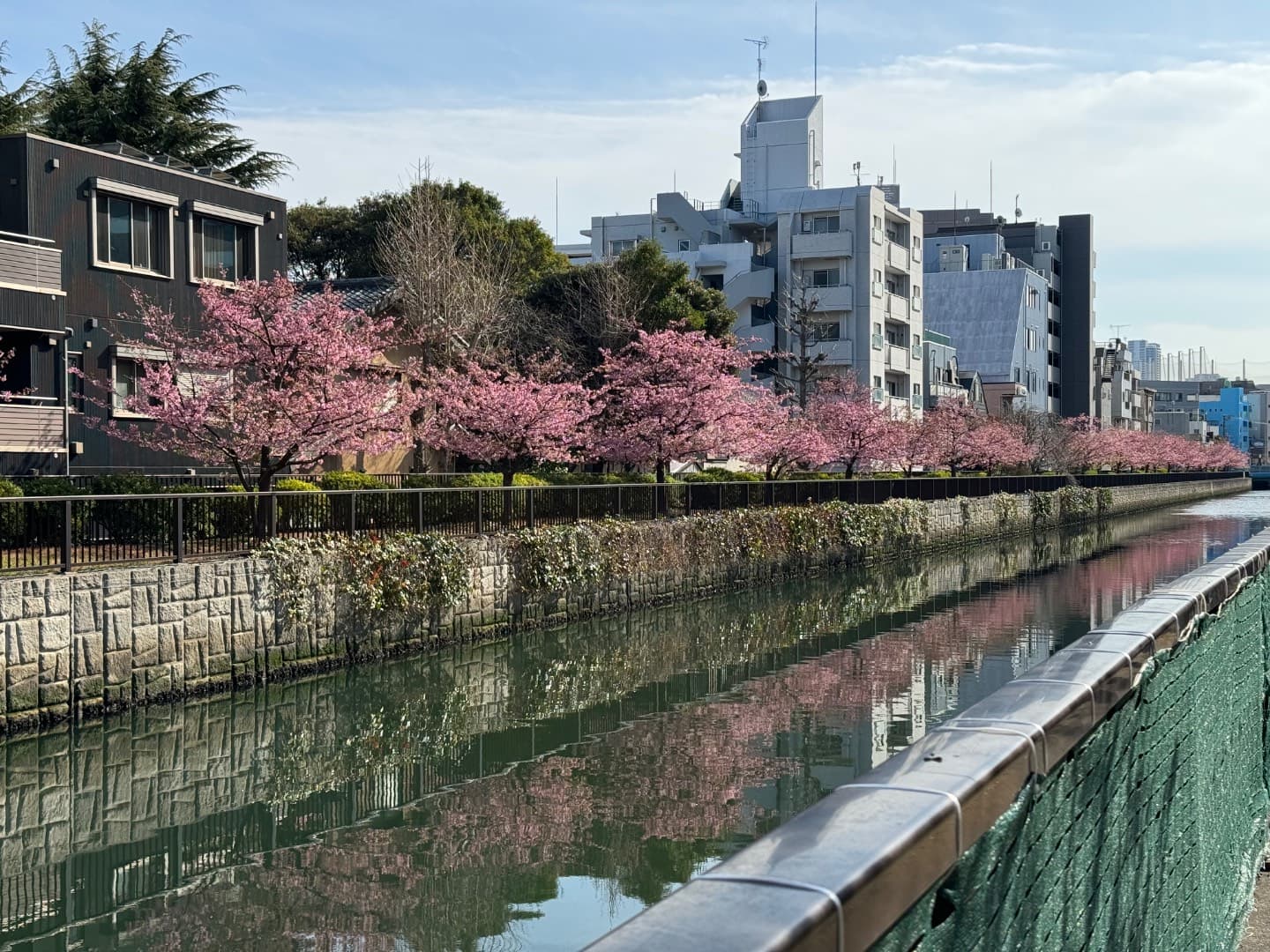 周辺環境は、江戸時代に整備された材木運搬用の水路に囲まれ、桜の季節には散策がより楽しくなる