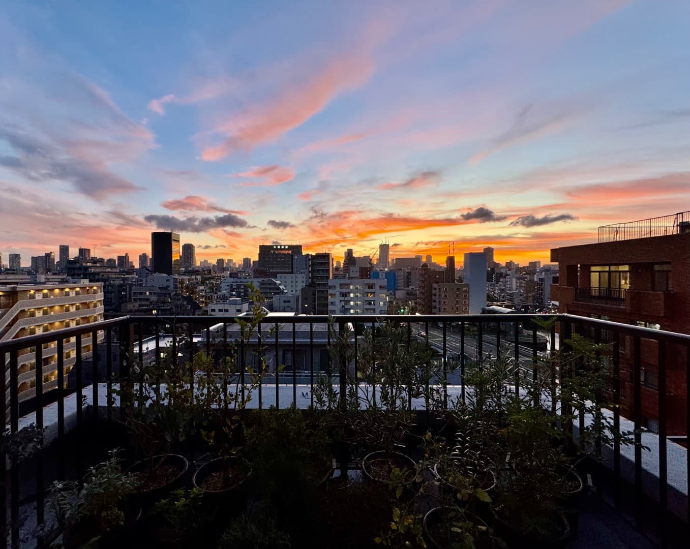 周辺には高い建物がなく、見晴らしの良い都市の眺めの中で、利便性と快適さを両立した生活を送ることができる。