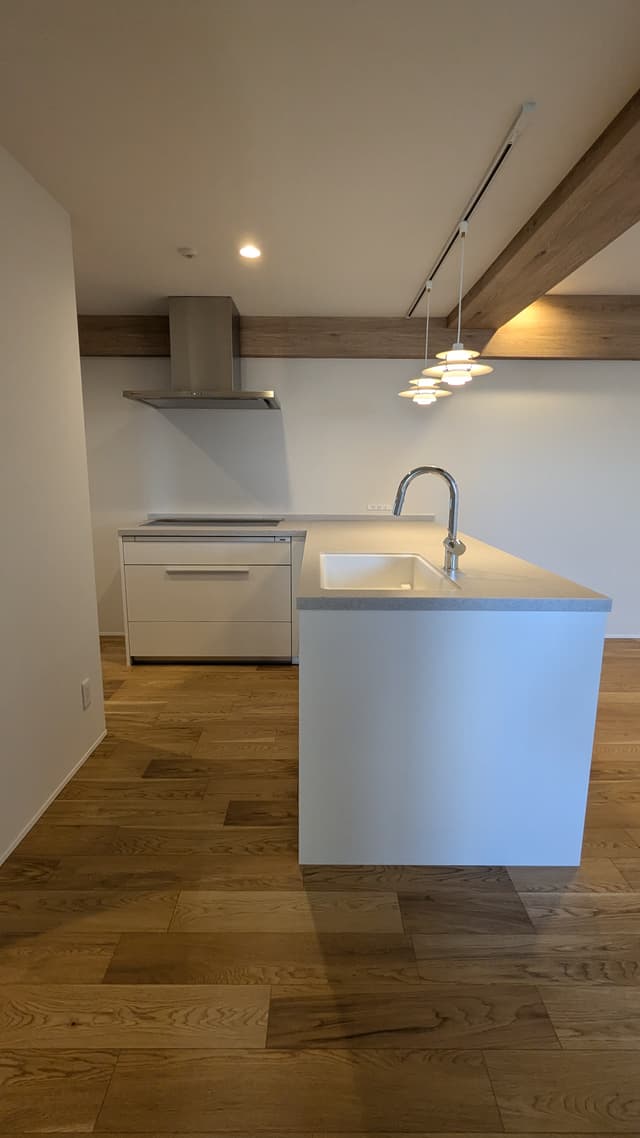 Panasonic L Classのカウンターキッチンです。Panasonic製の食洗器は大きくはないものの、二人暮らしには十分です。