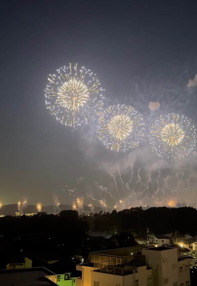 競馬場花火がよく見えます。