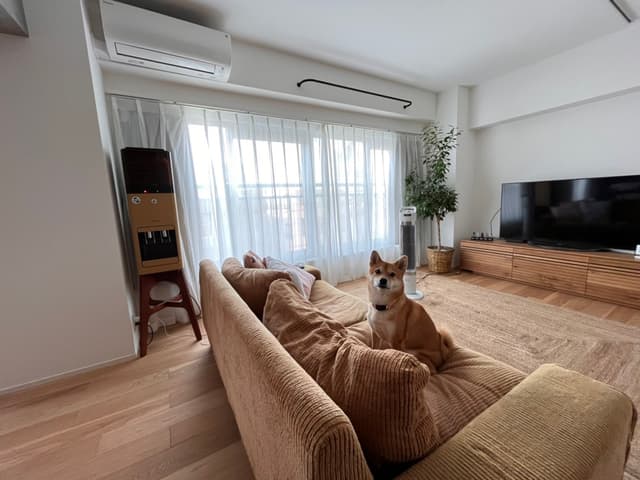 開放感に溢れるリビング（窓ガラスアングル）