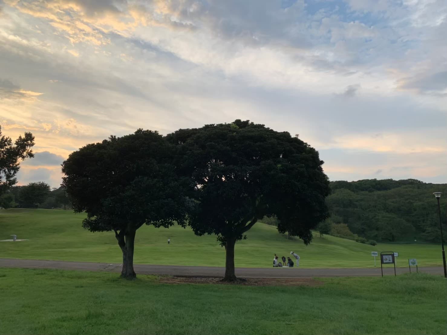 根岸森林公園が近いです
