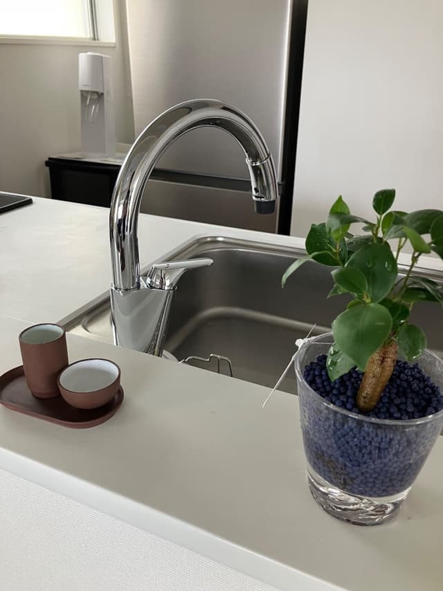 蛇口は浄水器グースに変更しました