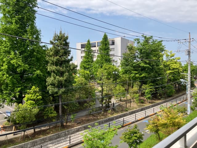 前面道路（バルコニーから撮影）。車はほとんど走らず静か。南向きで明るく、広場の緑がいっぱい。