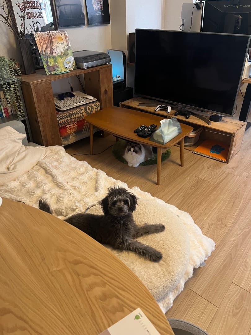 ペットは2匹飼育可能です。