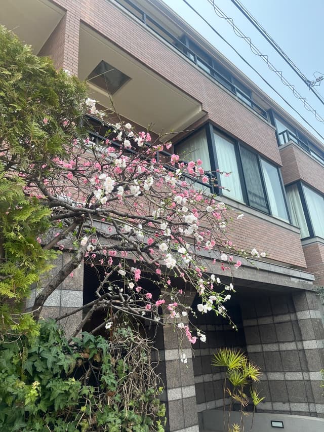 外観はとても綺麗です