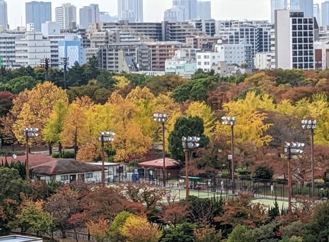 秋には紅葉が美しく、日本の四季が存分に味わえます