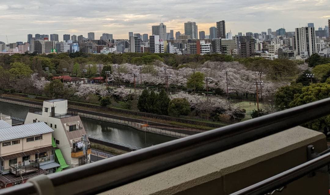 春には桜満開の景色が広がり、そのあとにはツツジの並木も楽しめます