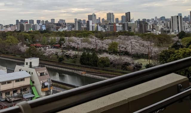 春には桜満開の景色が広がり、そのあとにはツツジの並木も楽しめます
