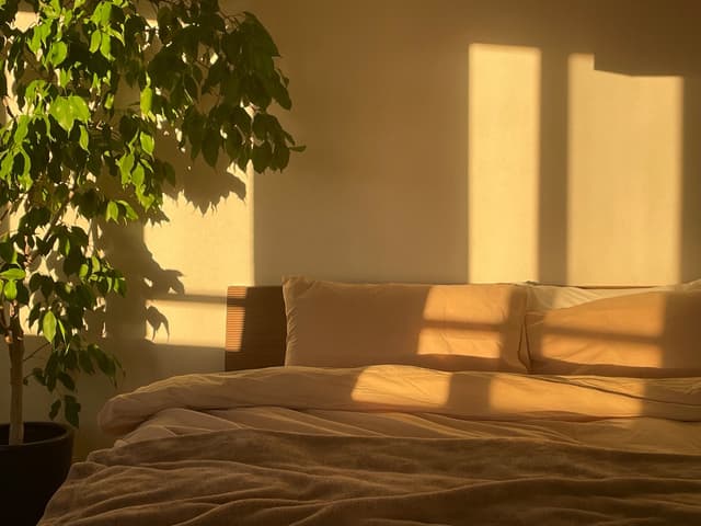 キングベッドを置けるベッドルームは優美が差し込んで綺麗