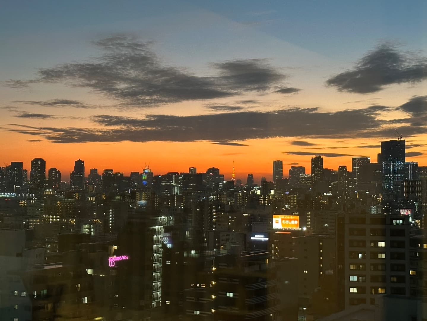 東京方面の夕焼け。東京タワーも見えます。