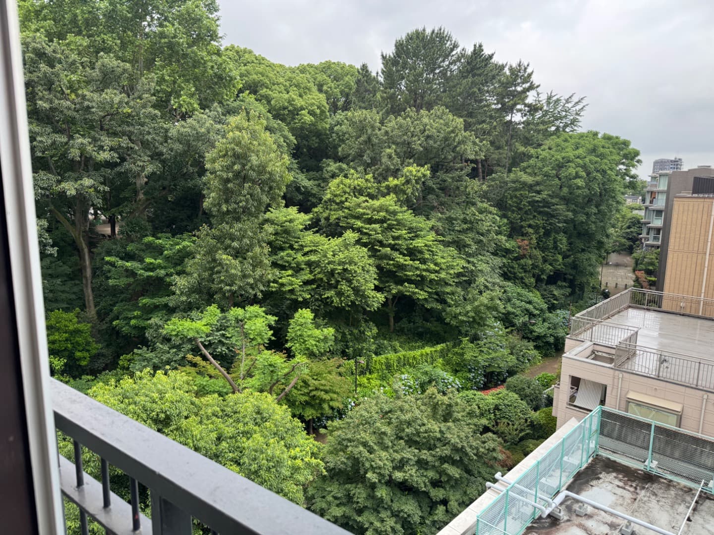 リビング横の洋室の窓を開けるとすぐ隣に林試の森公園があります。