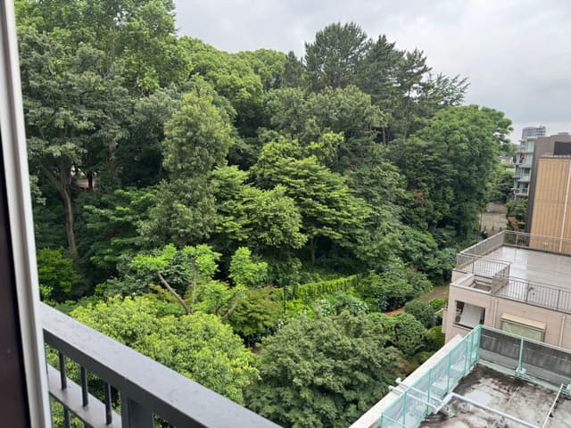 リビング横の洋室の窓を開けるとすぐ隣に林試の森公園があります。