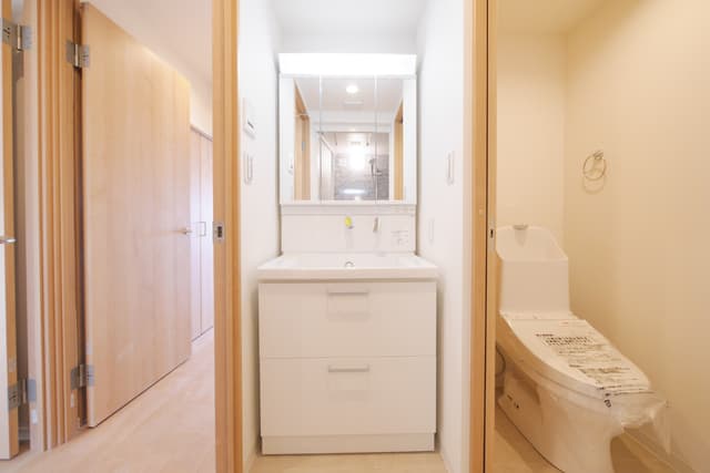 水道はシャワーヘッド。
洗面台の向かいは浴室です。