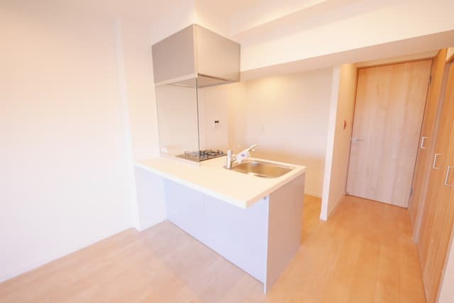 キッチンスペースの横に収納スペースと洗濯機スペースがあり、
扉が分かれています。