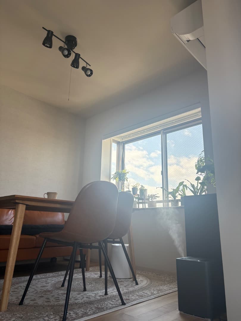 窓が大きく、周りに大きい建物がないため、昼間は電気無しで十分。