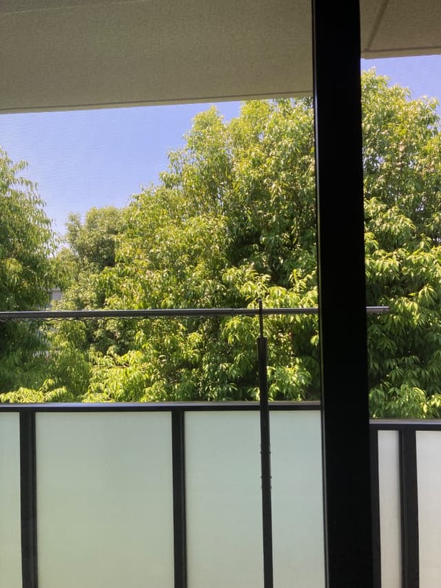 マンションの中庭（パティオ）の木々がお向かいの目隠しになっています。計算された植林の配置にさすが住友不動産だと感じます。