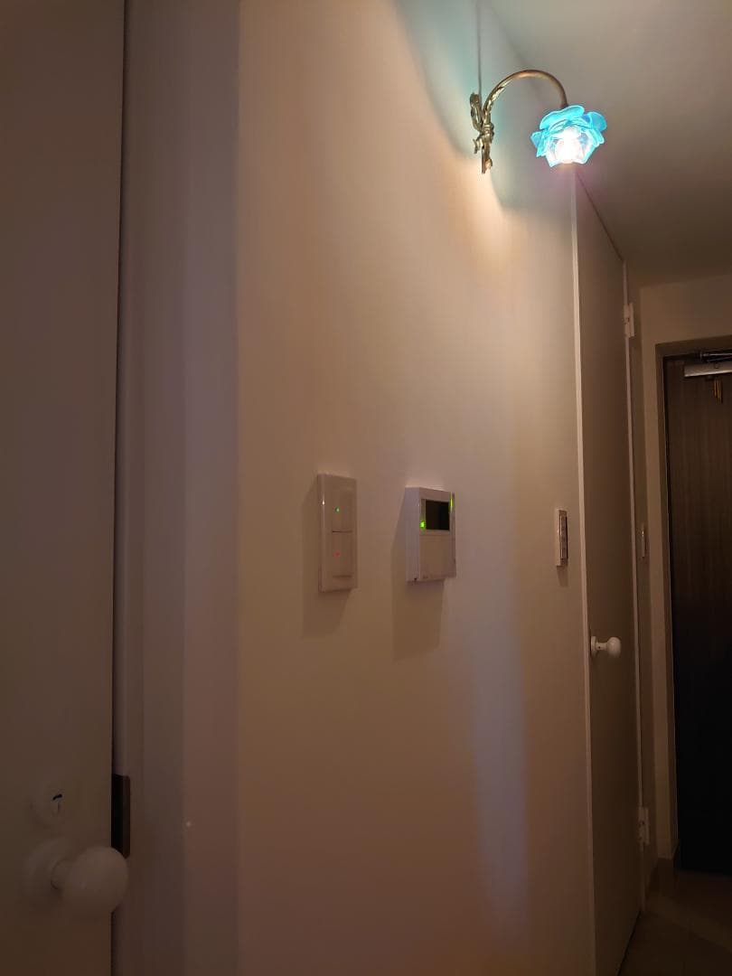 とても気に入ってる大好きな廊下の写真です。1900年代 フランスアンティークのブルーローズブラケットの灯りが珪藻土塗装の壁を柔らかく照らしています。