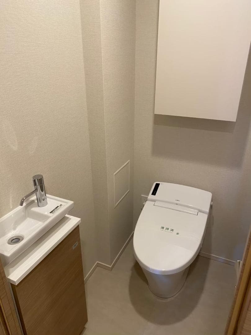 手洗いカウンター付きで、来客時にも使いやすい仕様です。収納力もあり、清潔感を保ちやすい点も気に入っています。（入居前写真）