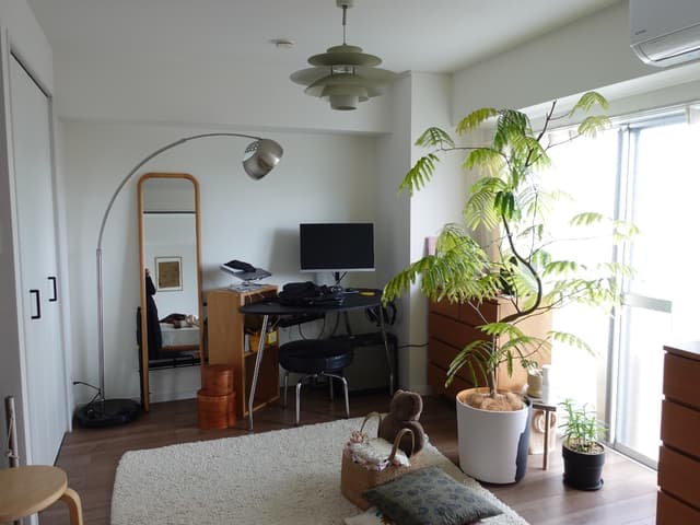 living
加工なしそのままの写真です。陽当たりバツグン。