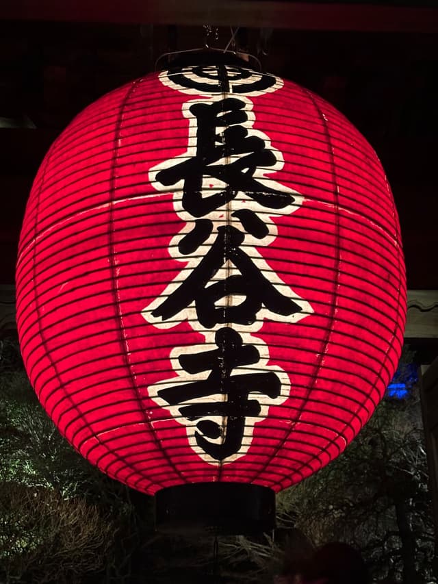 紫陽花など四季折々の花で有名な長谷寺も歩いて15分で到着します。