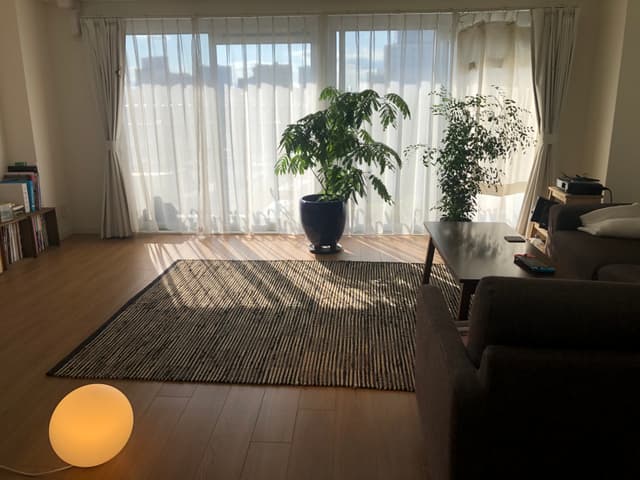 リビングです。日当たりがかなりいいので、観葉植物がよく育ちます。また角部屋で窓が多いため、風もよく通ります。