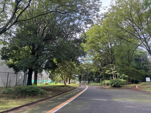 公園の近くです