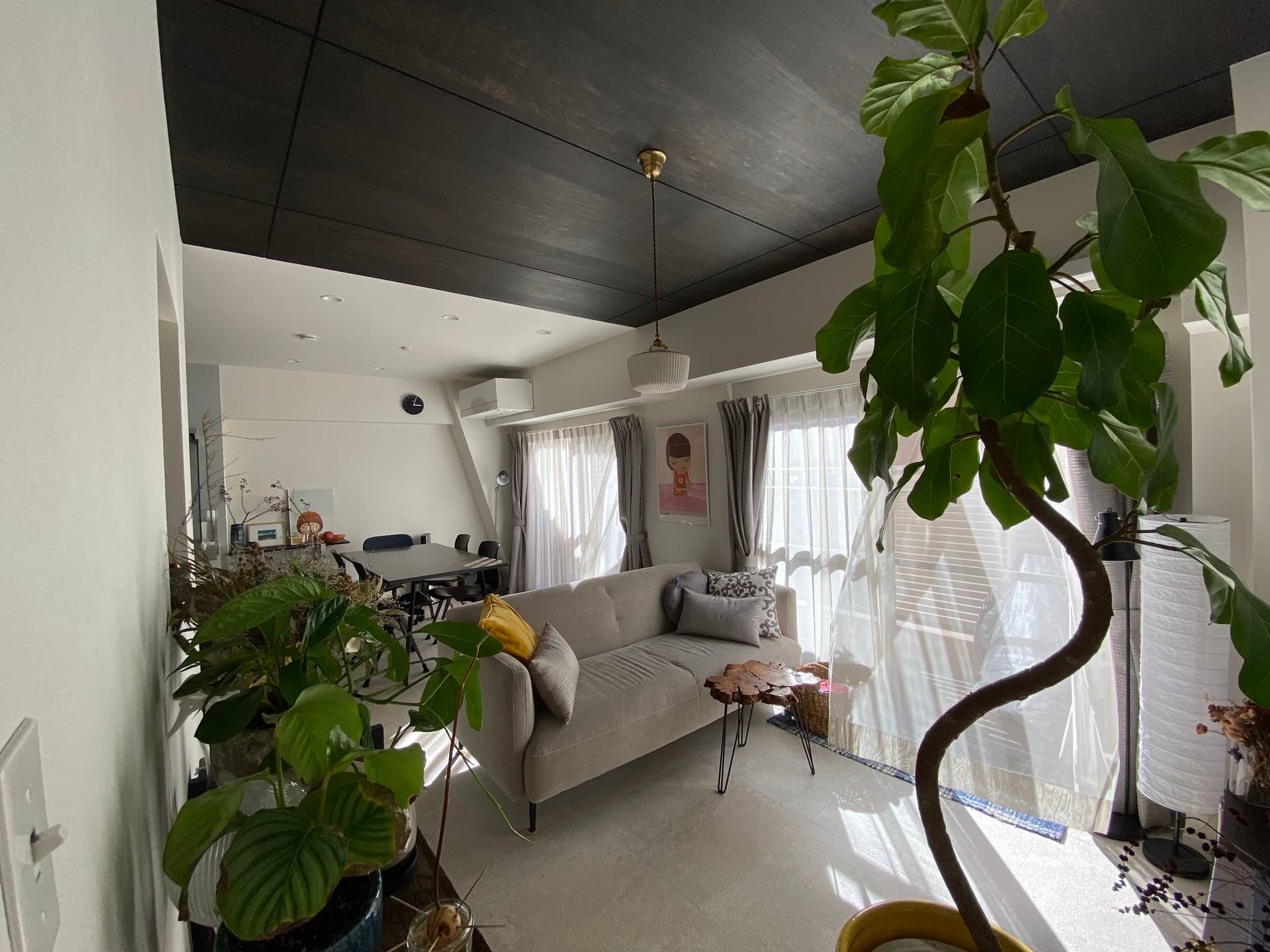 15:00ごろに撮影したLDK。隣には大学がありますが、距離が離れているため柔らかく陽射しが入ります。（人通りや人の気配は感じない為、音なども特に気になることもありません）