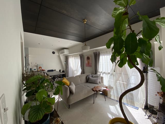 15:00ごろに撮影したLDK。隣には大学がありますが、距離が離れているため柔らかく陽射しが入ります。（人通りや人の気配は感じない為、音なども特に気になることもありません）