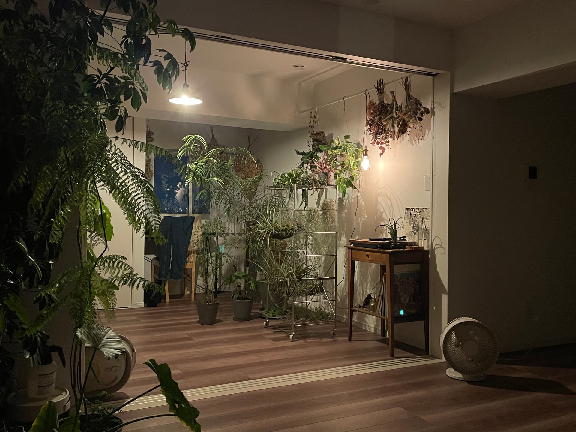 角部屋をライトアップ。