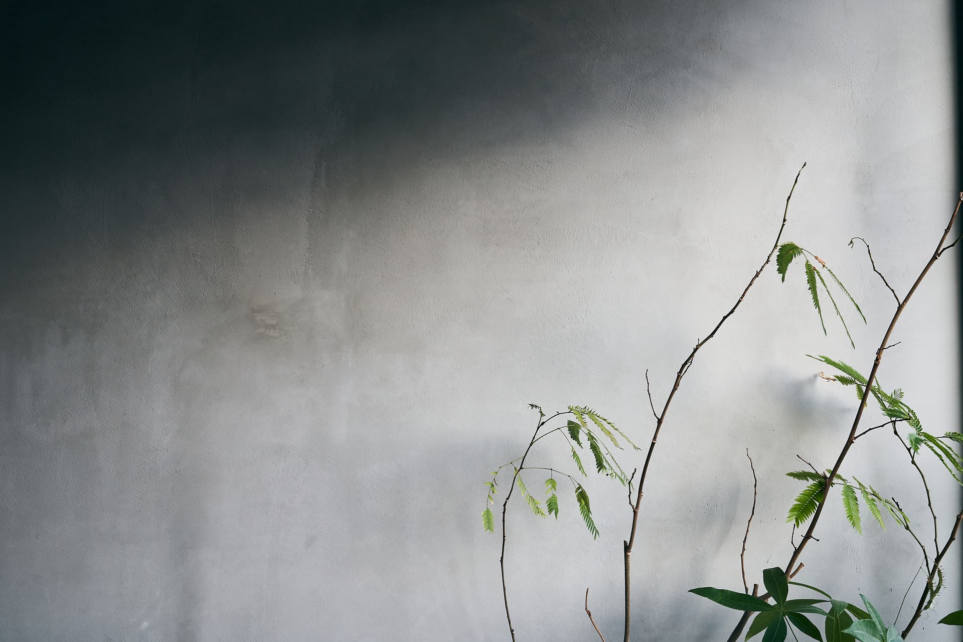 ダイニング裏の壁です。