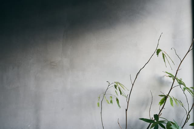 ダイニング裏の壁です。