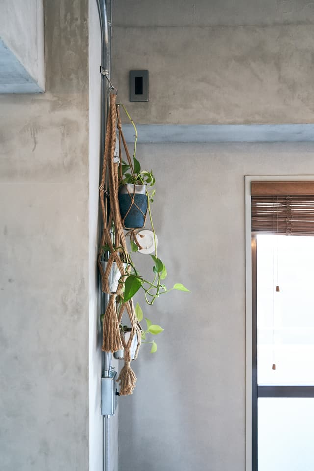 鉄管に植物を掛けたりもしています。