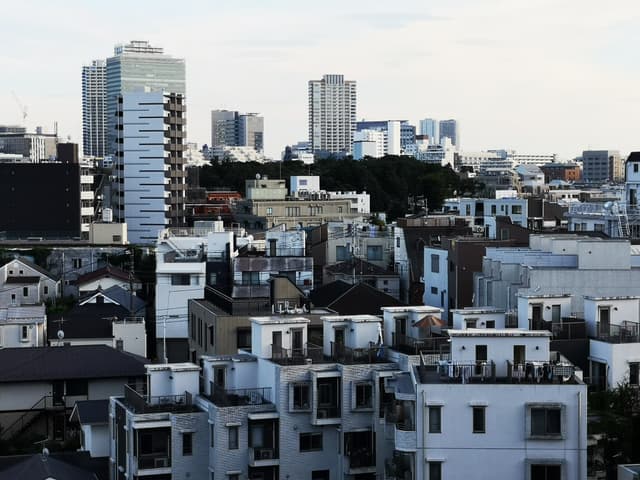 正面に見える緑が自然教育園です