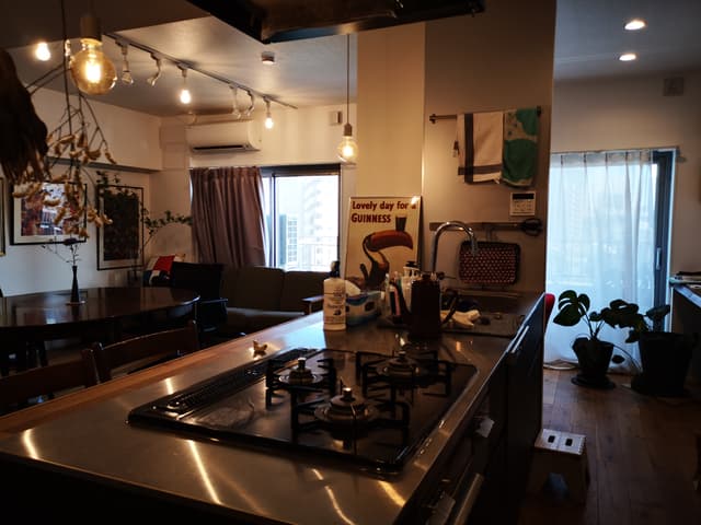 キッチンよりリビングを覗いた構図です
